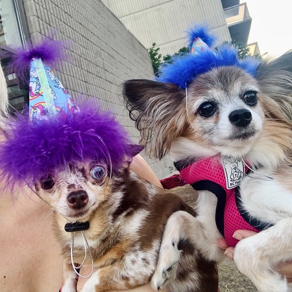 Birthday joy - Picture 3 of 4